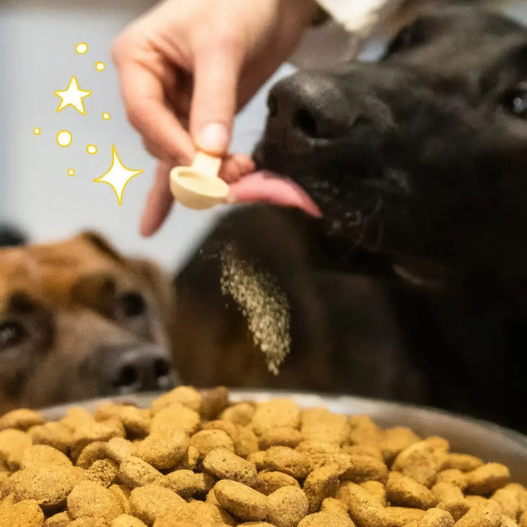 Complément alimentaire pour chien - anti-stress & apaisant