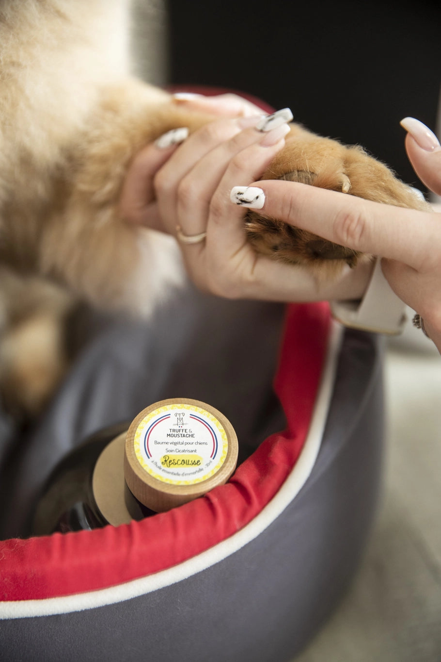 Baume pour chien - rescousse
