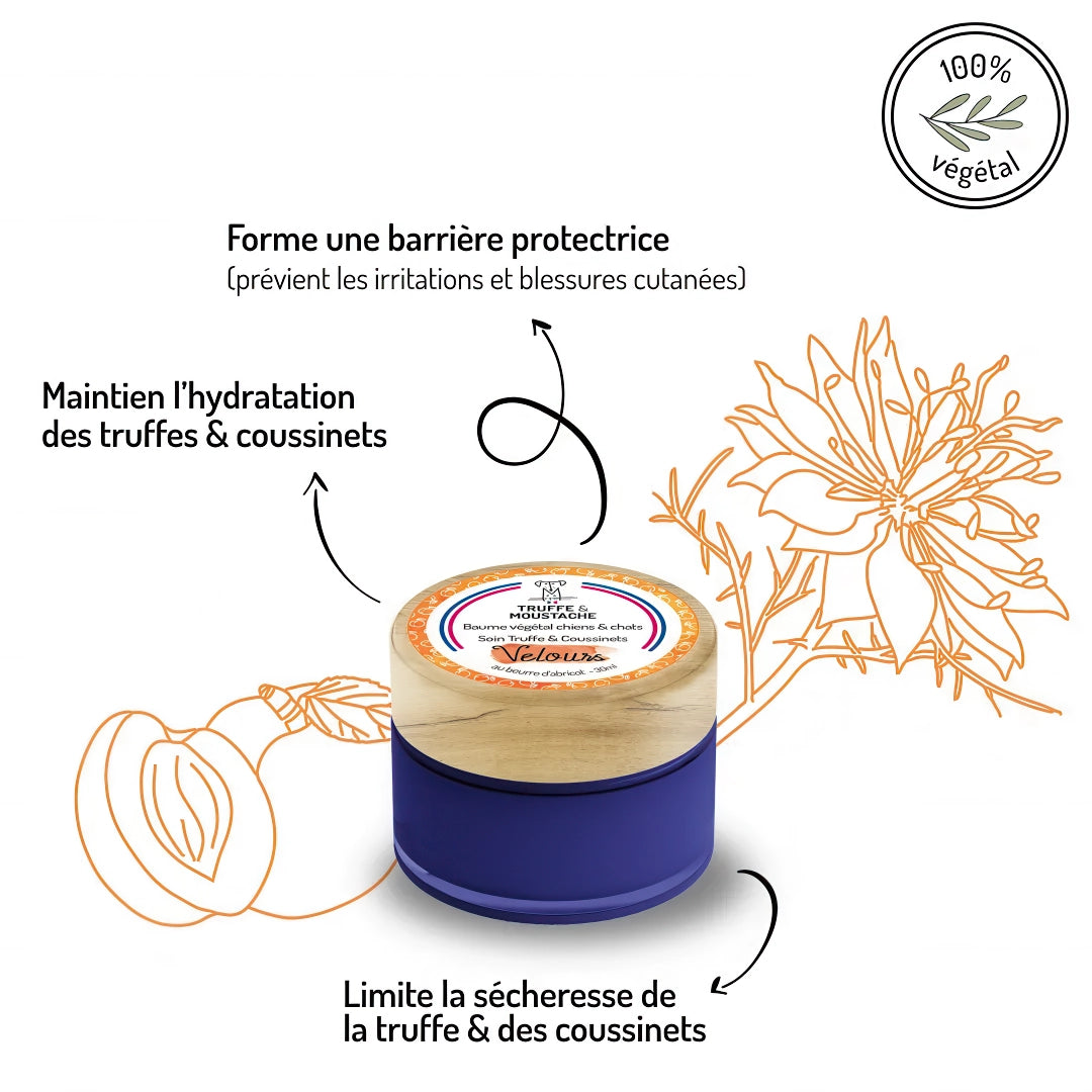 Baume végétal pour chien - truffe & coussinets