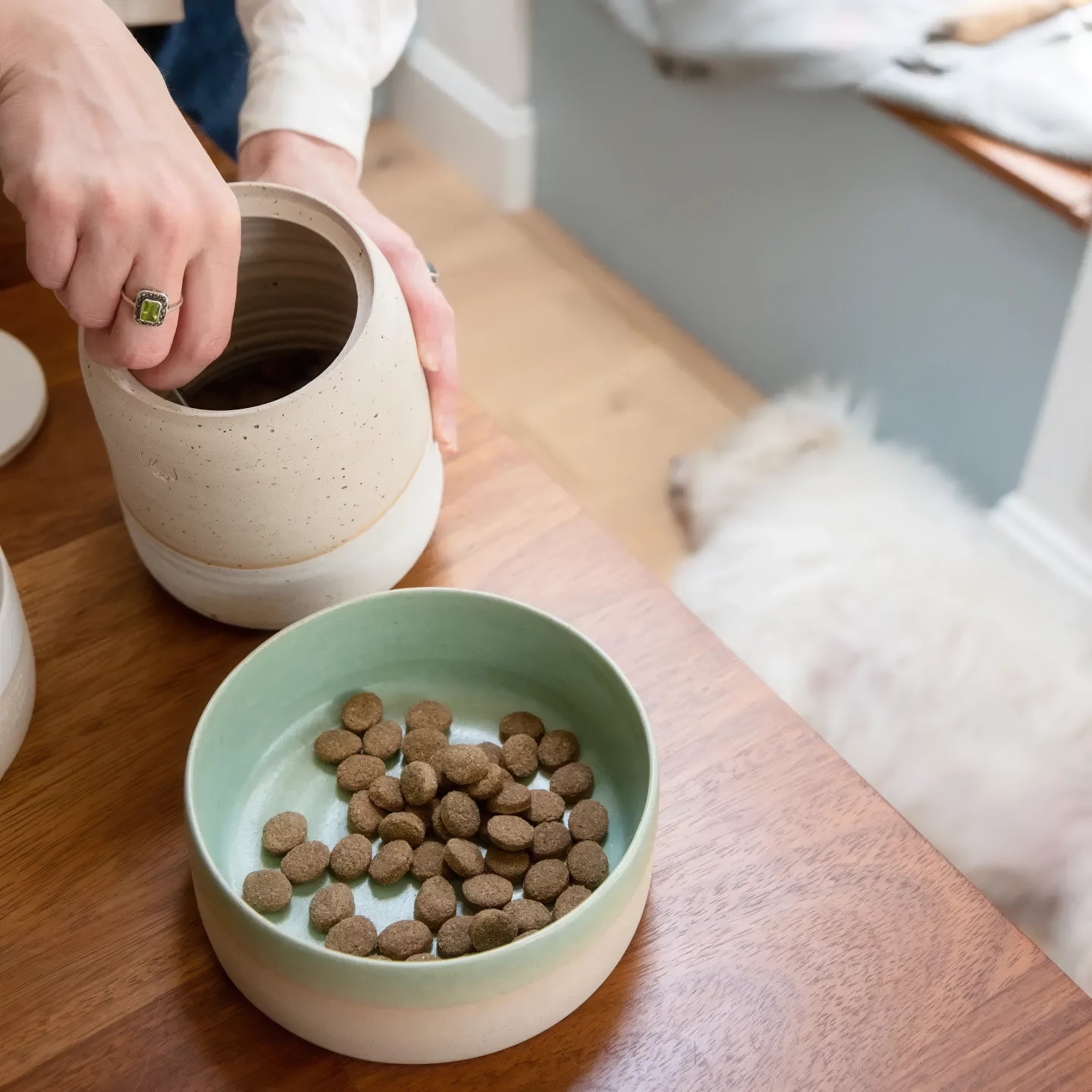 Bol alimentaire en céramique pour chien