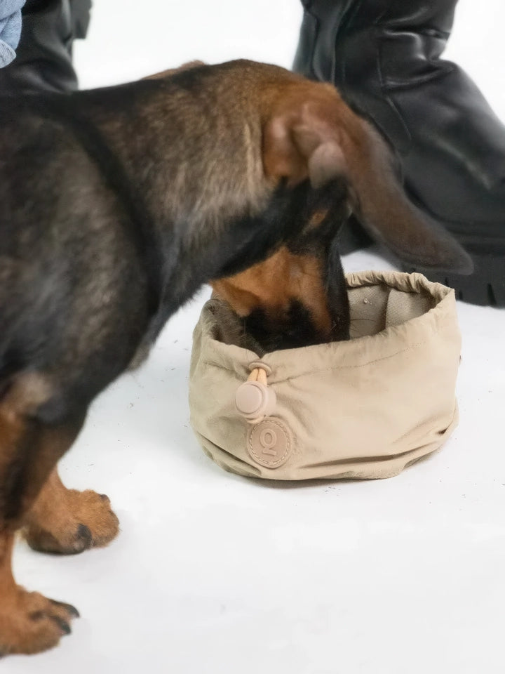 Bol portable à eau pour chien