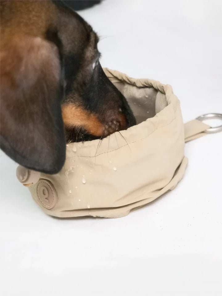 Bol portable à eau pour chien