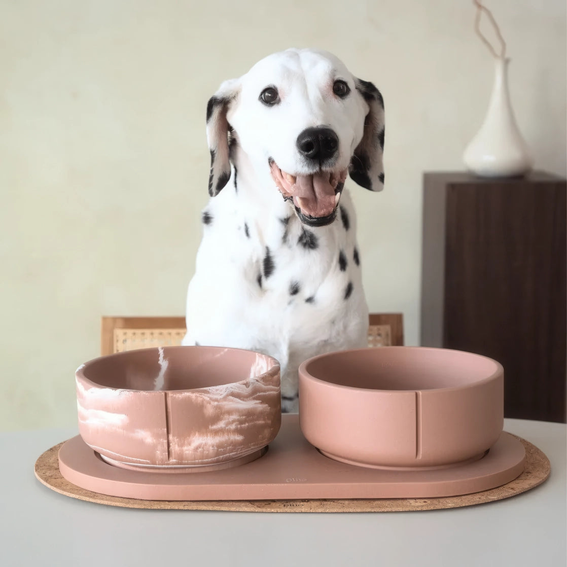 Gamelle pour chien - simple & marbre