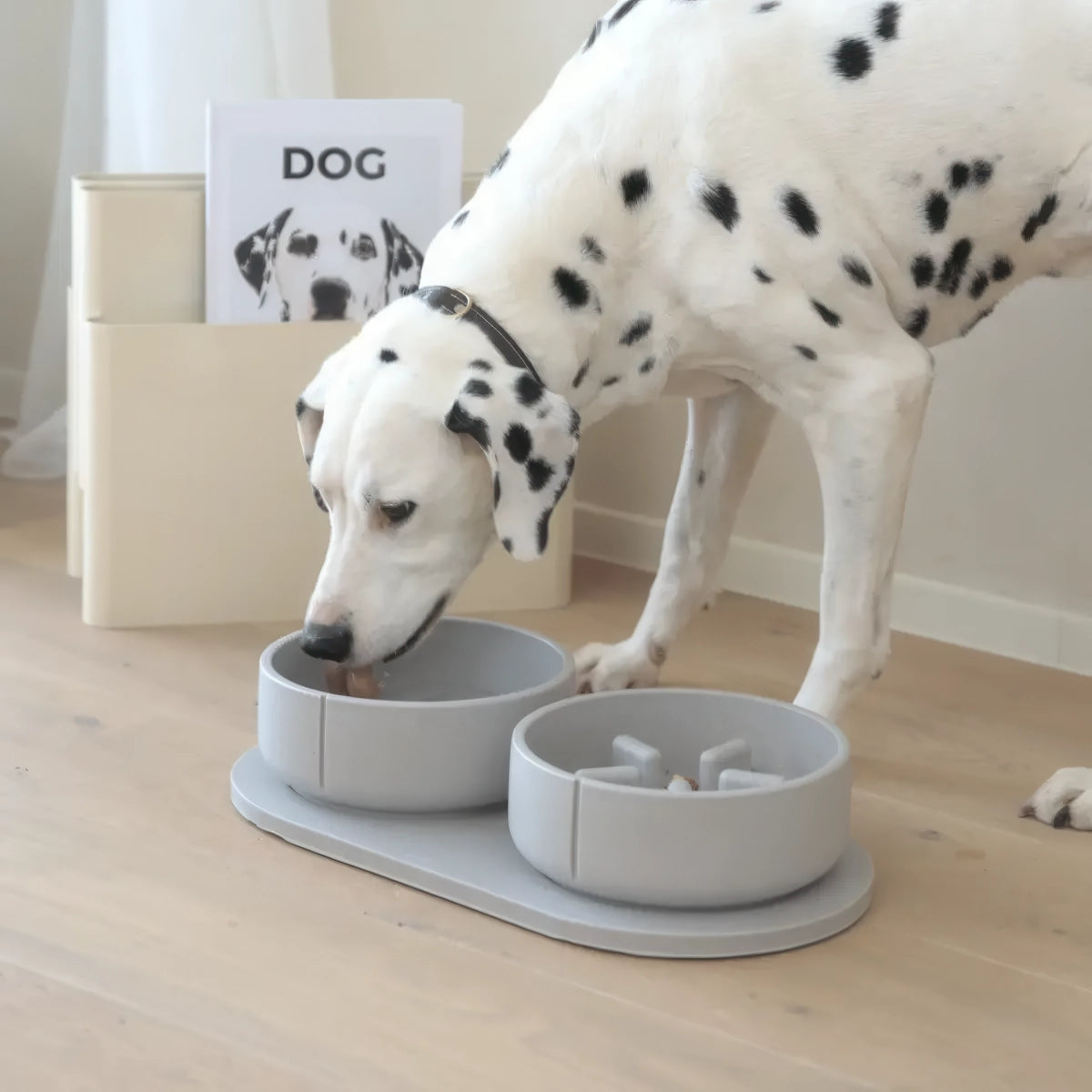 Gamelle pour chien - slow feeder