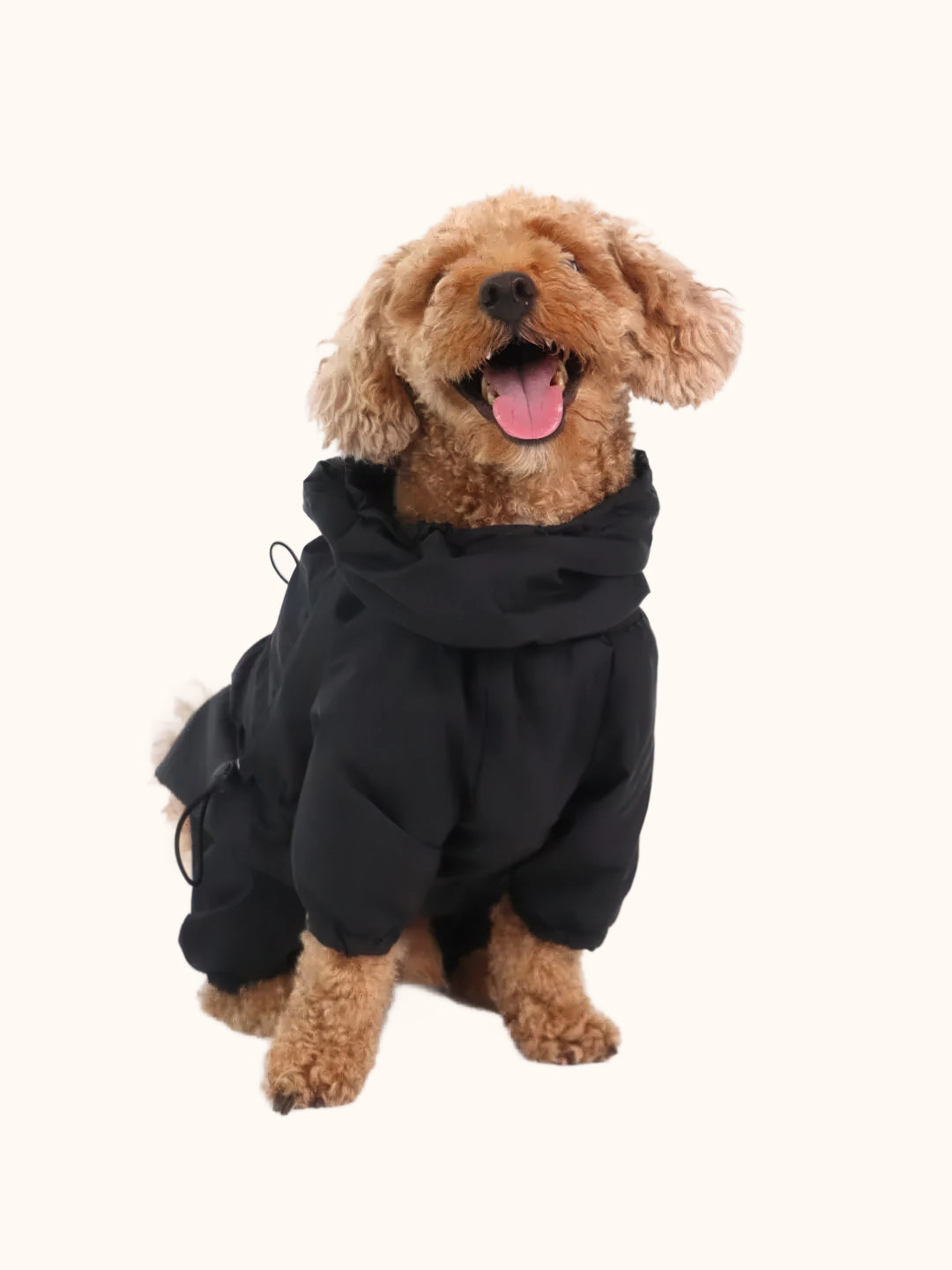 Imperméable pour chien - style noir