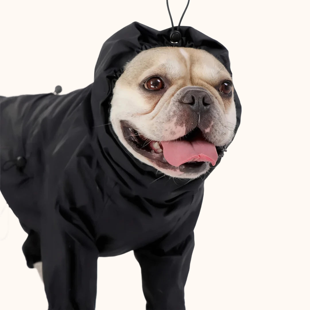 Imperméable pour chien - style noir