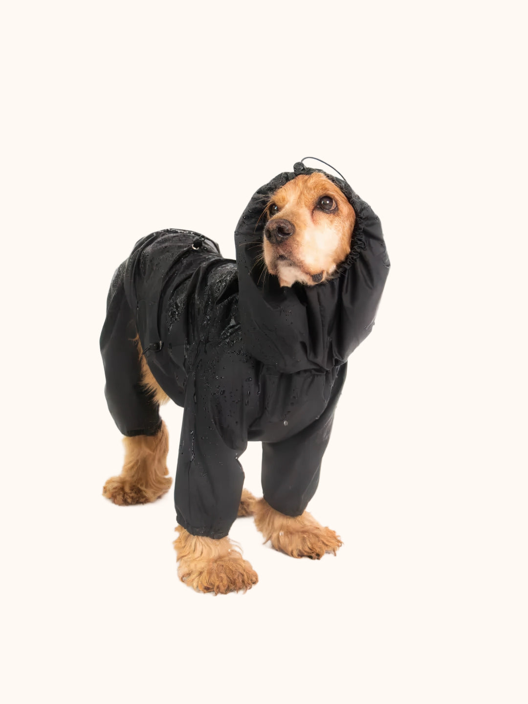 Imperméable pour chien - style noir