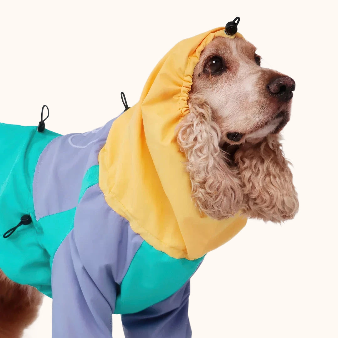 Imperméable pour chien - style tropical