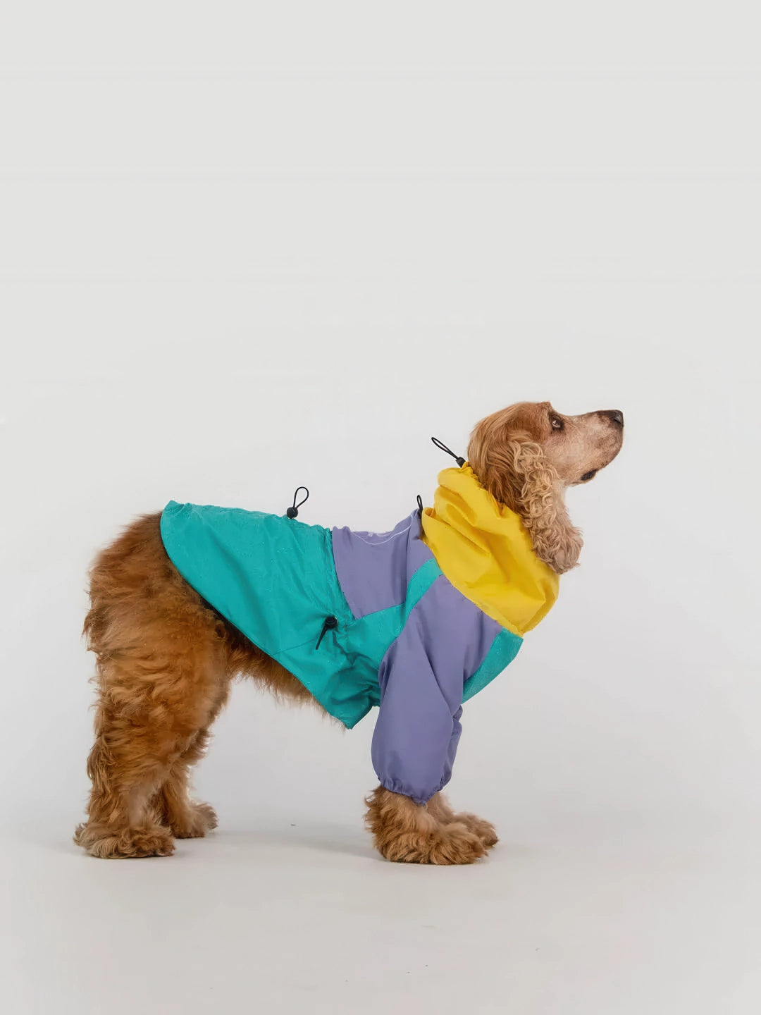 Imperméable pour chien - style tropical