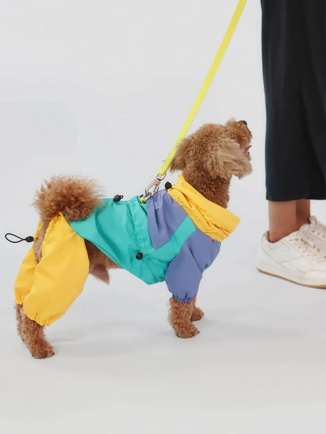 Imperméable pour chien - style tropical