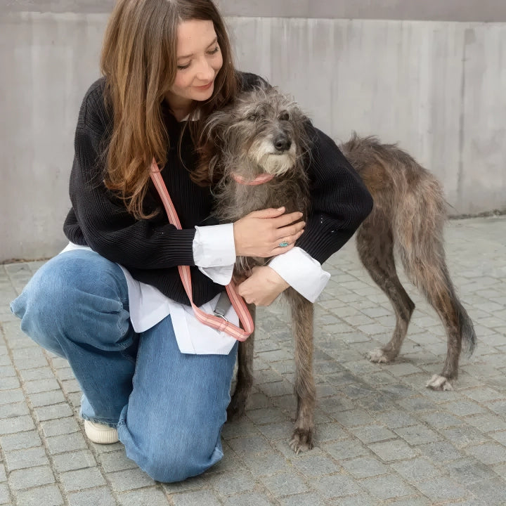 Laisse pour chien - trix