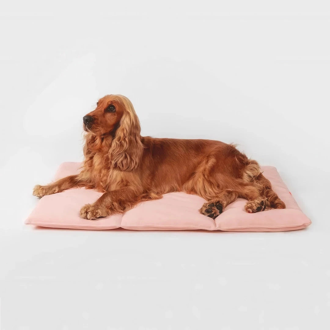 Lit pour chien - nomad bed