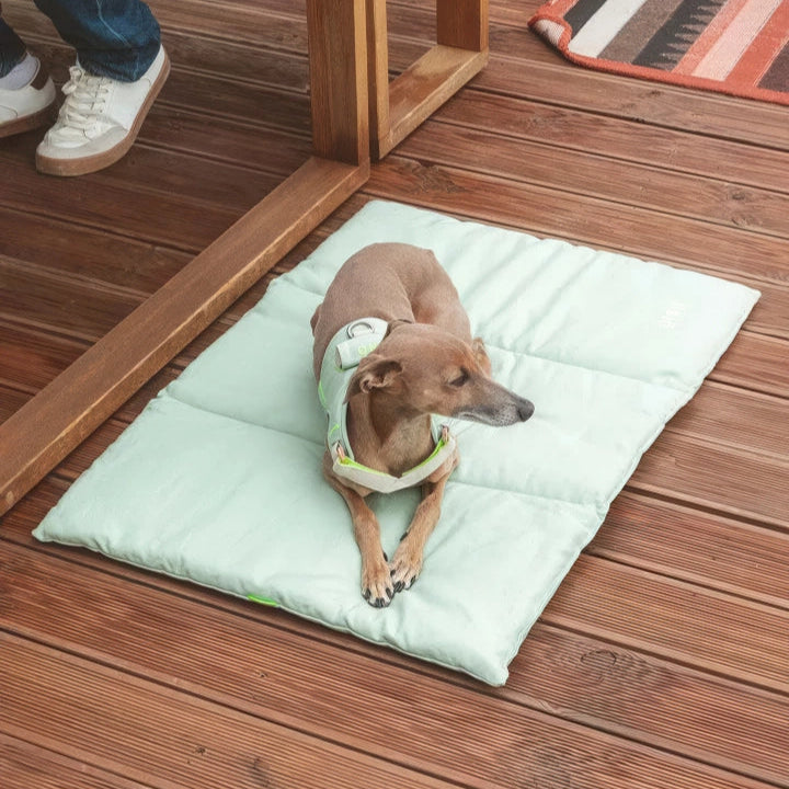 Petit chien allongé sur un lit Nomad vert pour extérieur, fabriqué en matériaux biologiques et résistants, sur terrasse boisée.
