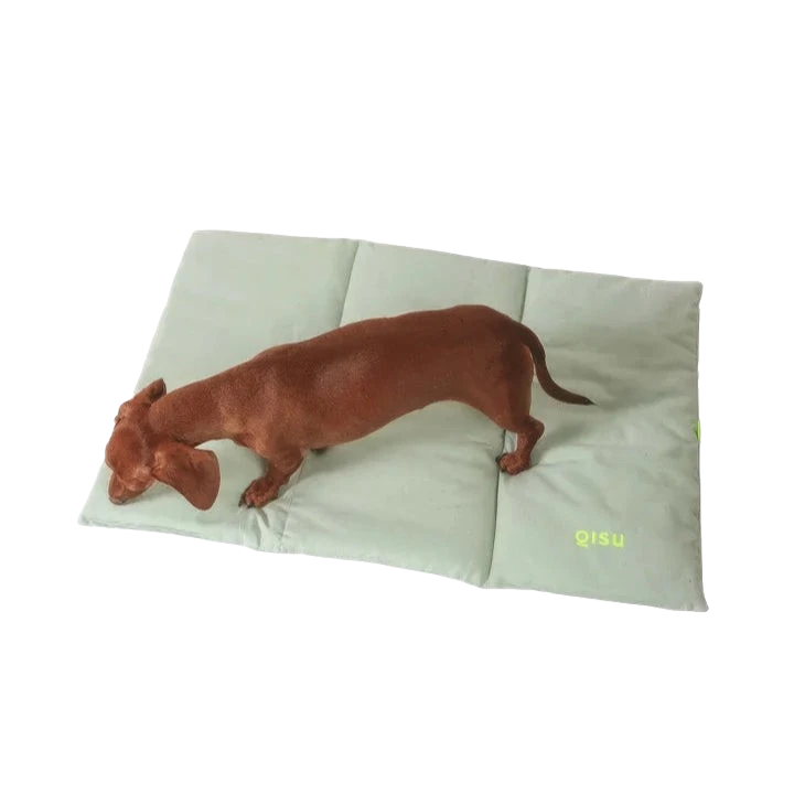 Chien allongé sur le lit Nomad, fabriqué en matériaux biologiques, confortable et écoresponsable, adapté à l'intérieur et extérieur.