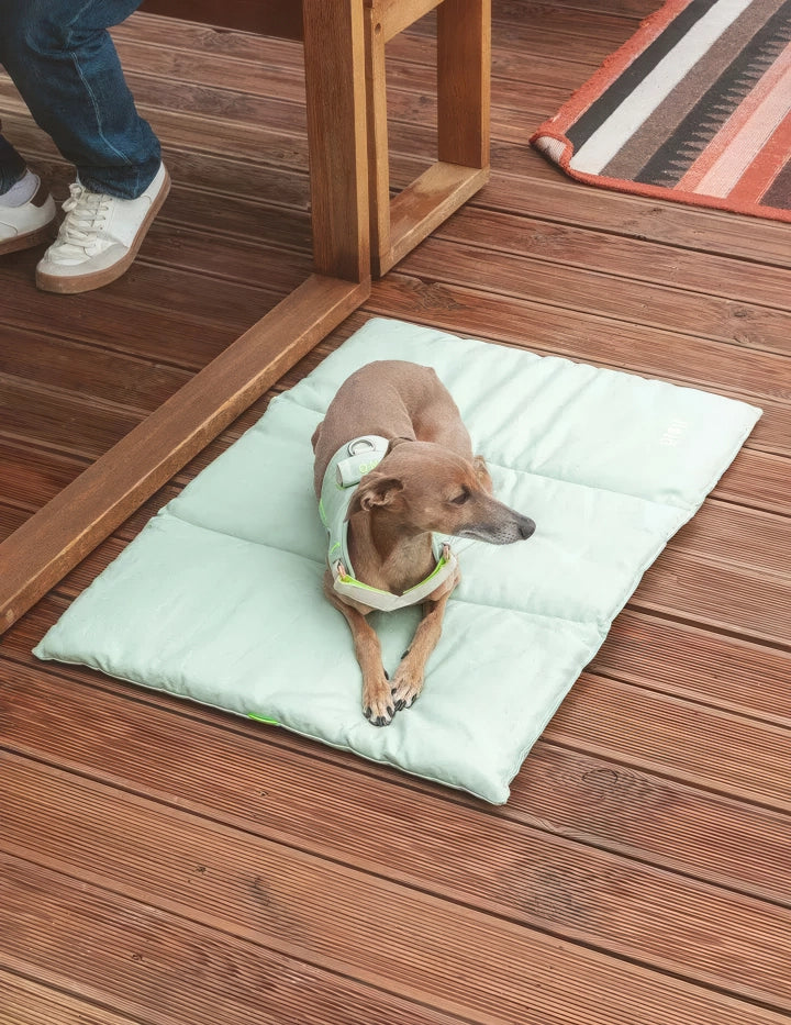 Lit pour chien - nomad bed