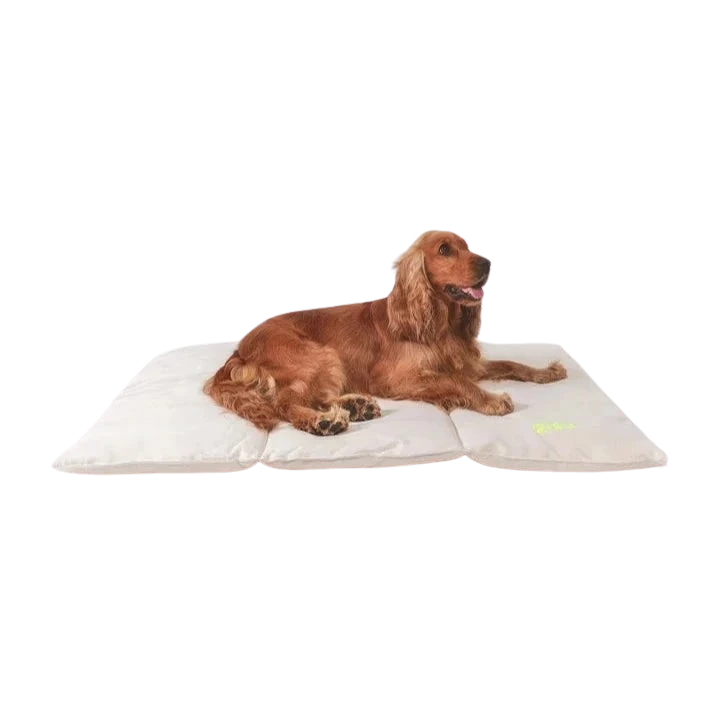 Chien allongé sur un lit pour chien nomad, confortable et écoresponsable, fabriqué en matériaux recyclés, pour intérieur et extérieur.