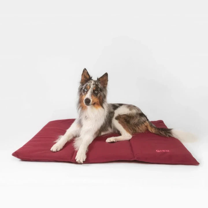 Lit pour chien - nomad bed