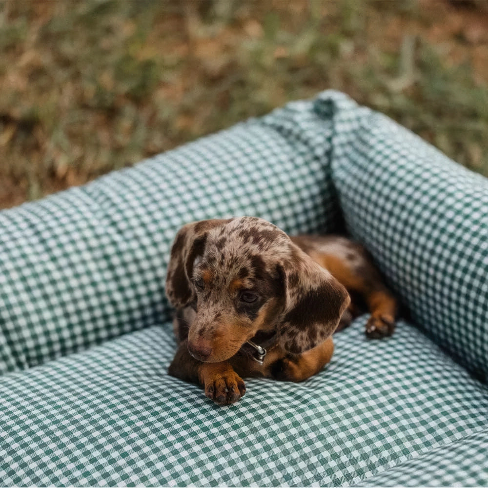 Lit pour chien imperméable - vichy vert