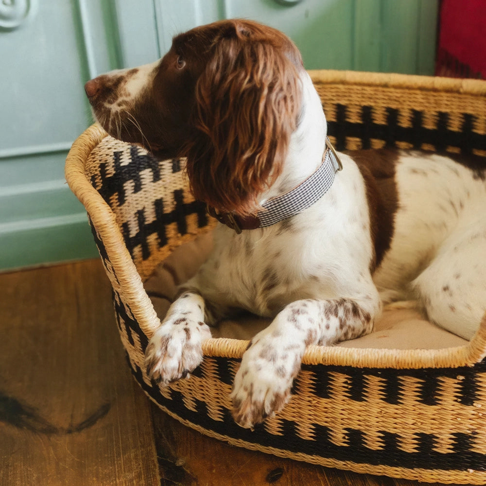 Panier pour chien - pumba