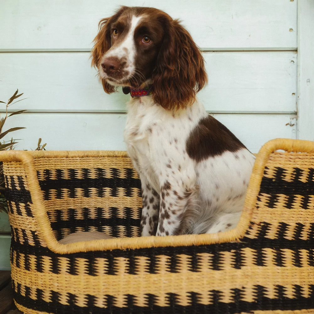 Panier pour chien - pumba