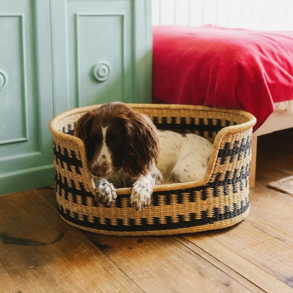 Panier pour chien - pumba