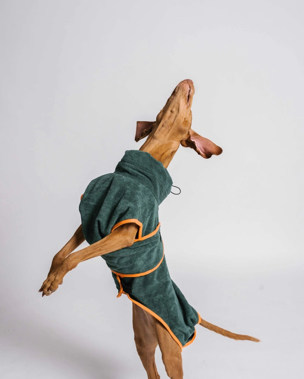 Peignoir pour chien - vert & orange