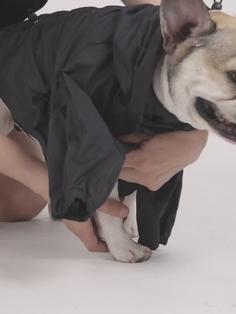 Chien avec imperméable noir, ajusté pour confort et protection, capuche intégrée, laisse aisément attachée. Style pratique et moderne.