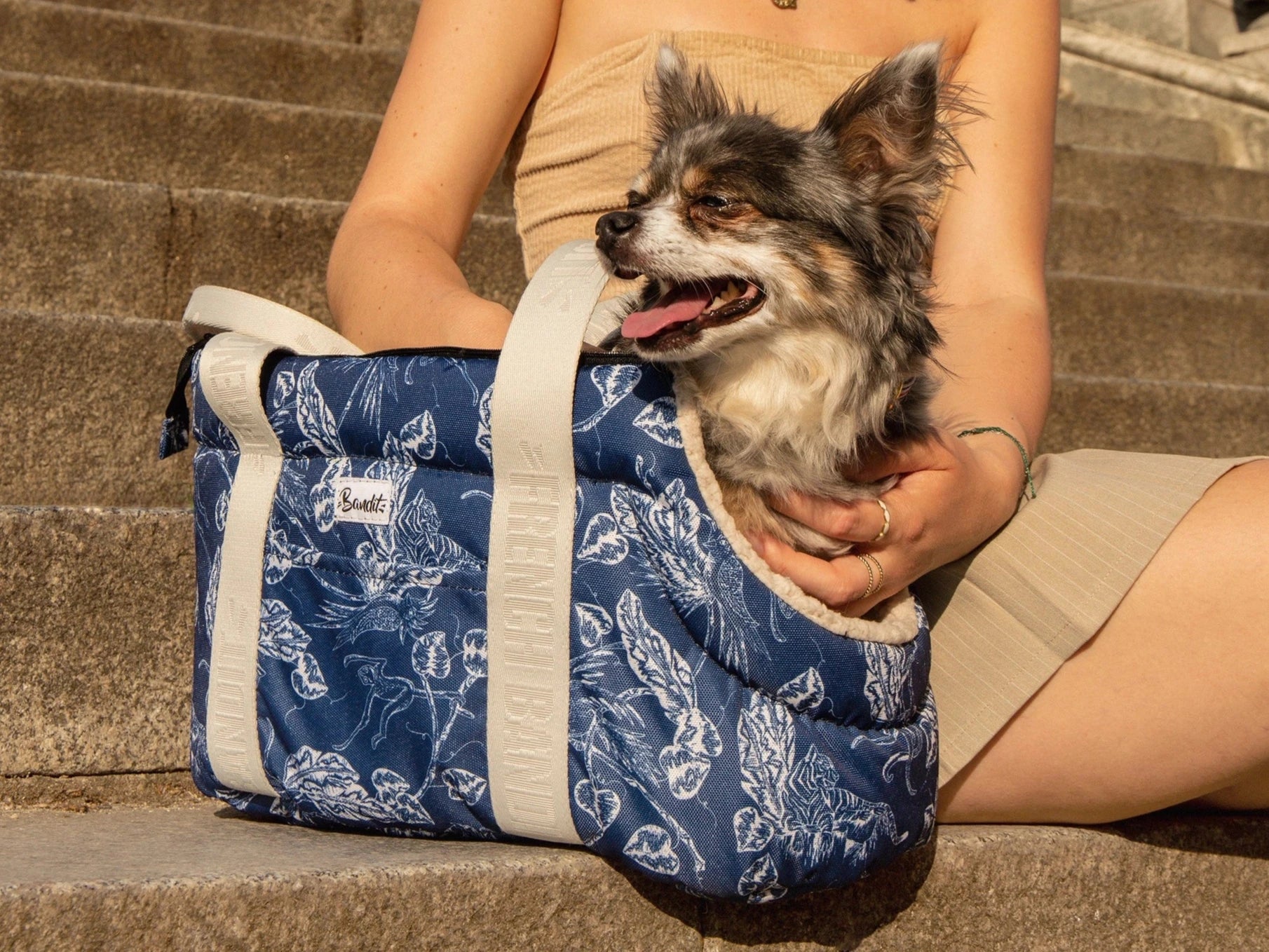 Sac de transport pour chien