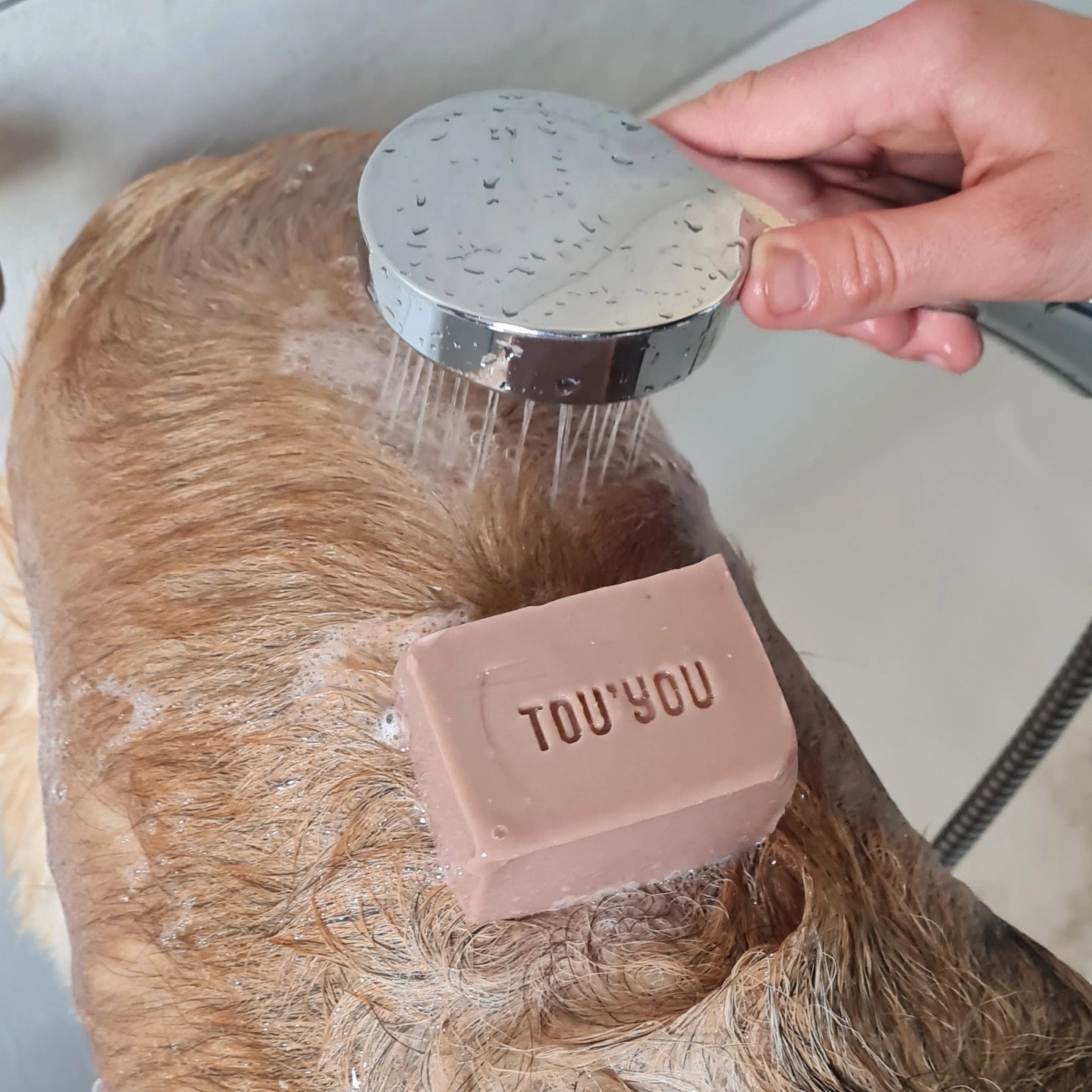 Shampoing solide pour chien - Lavande Eucalyptus