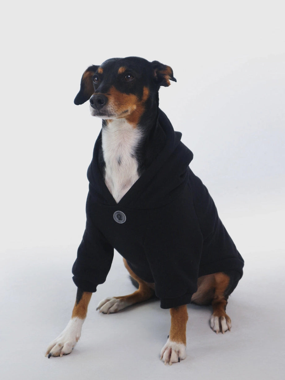 Sweat à capuche pour chien