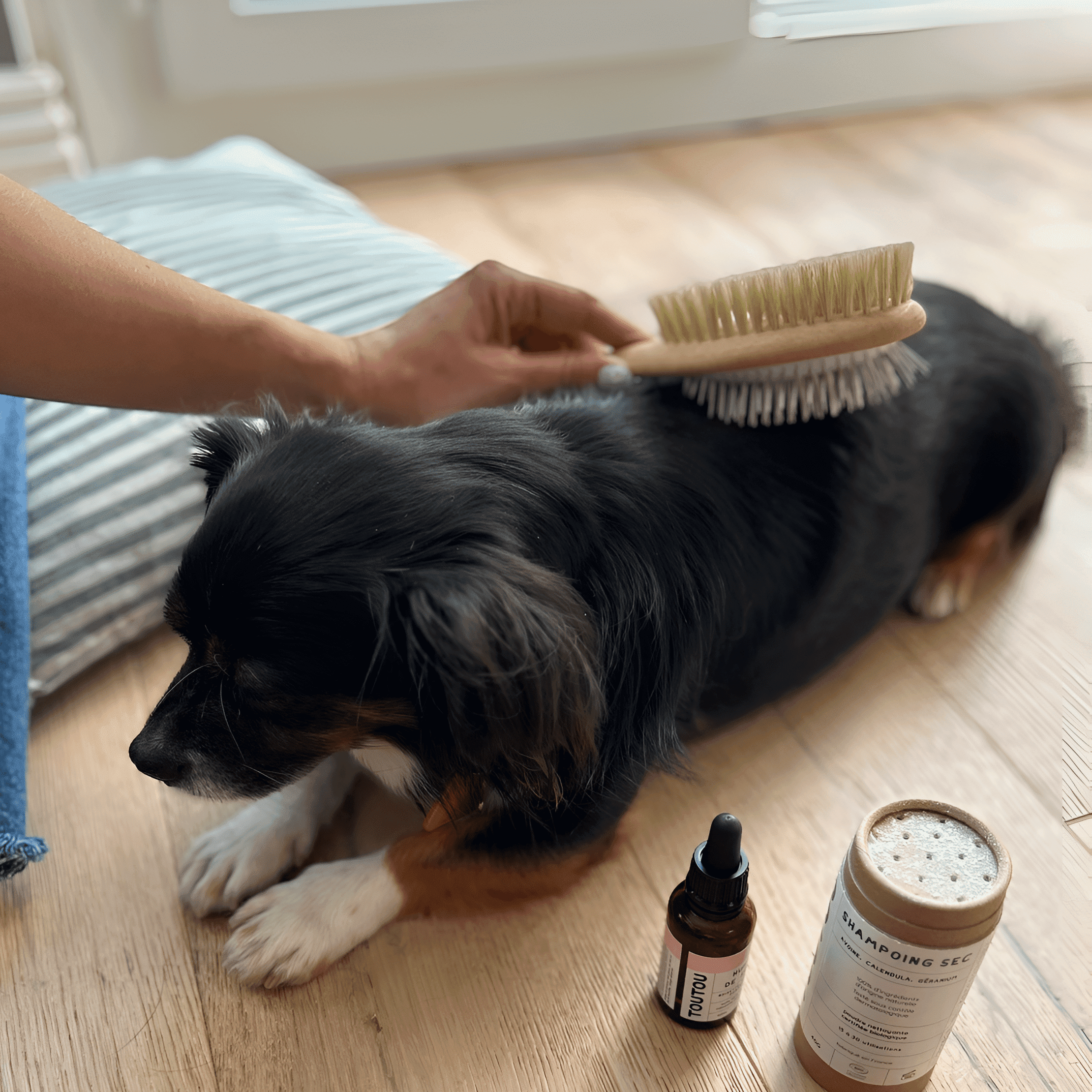 Produit utilisé sur un chien